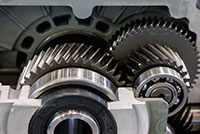 gear oil